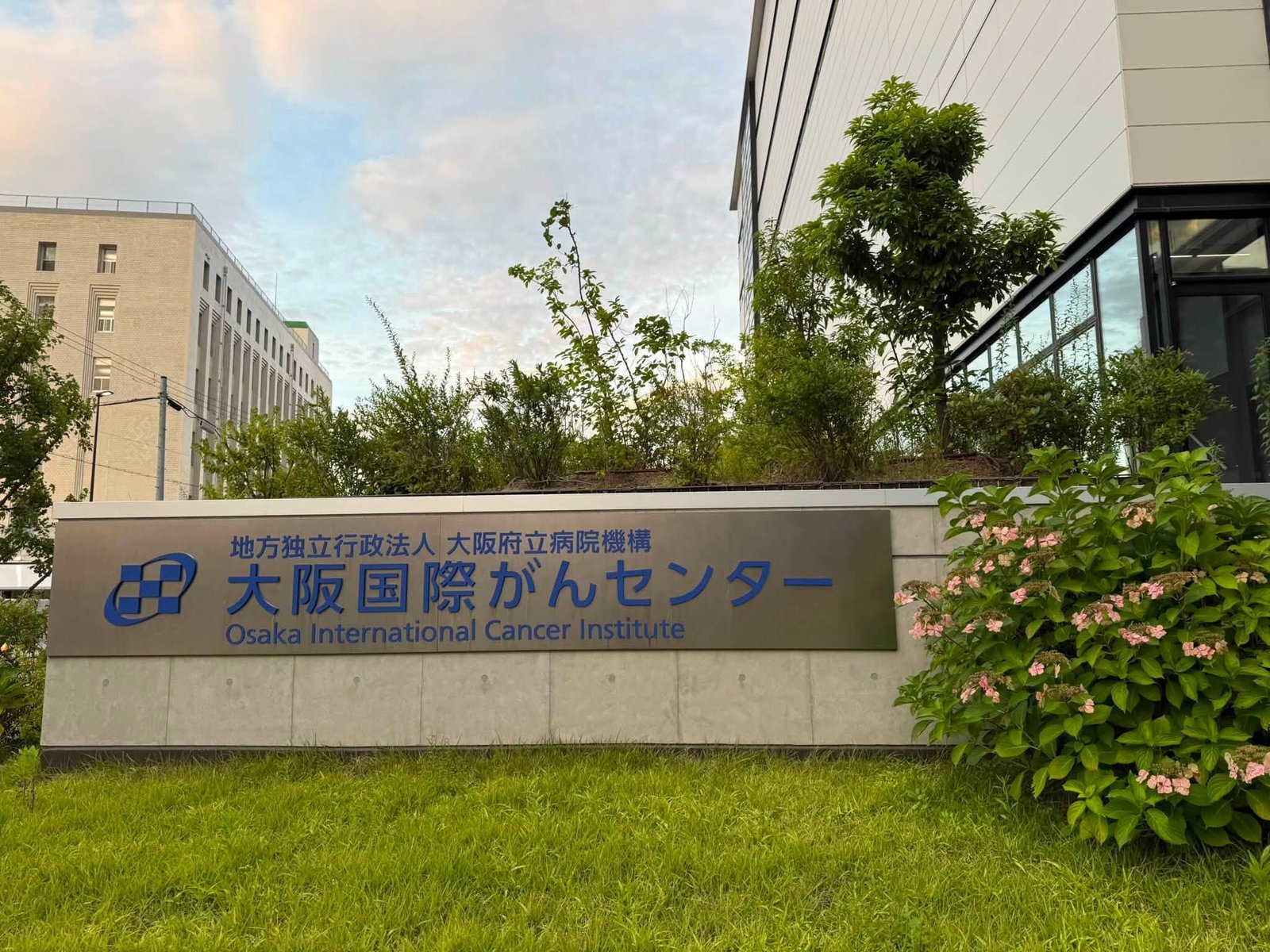 Advanced Endoscopy Training in Japan - image 5